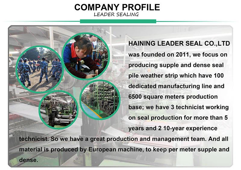Company Profile